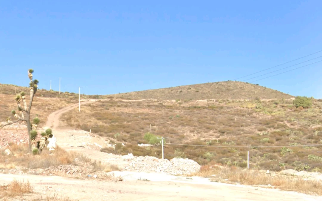 Photo of Pachuquilla