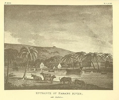 Photo of Padangpanjang