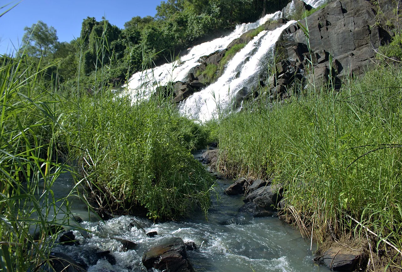 Photo of Pader Palwo