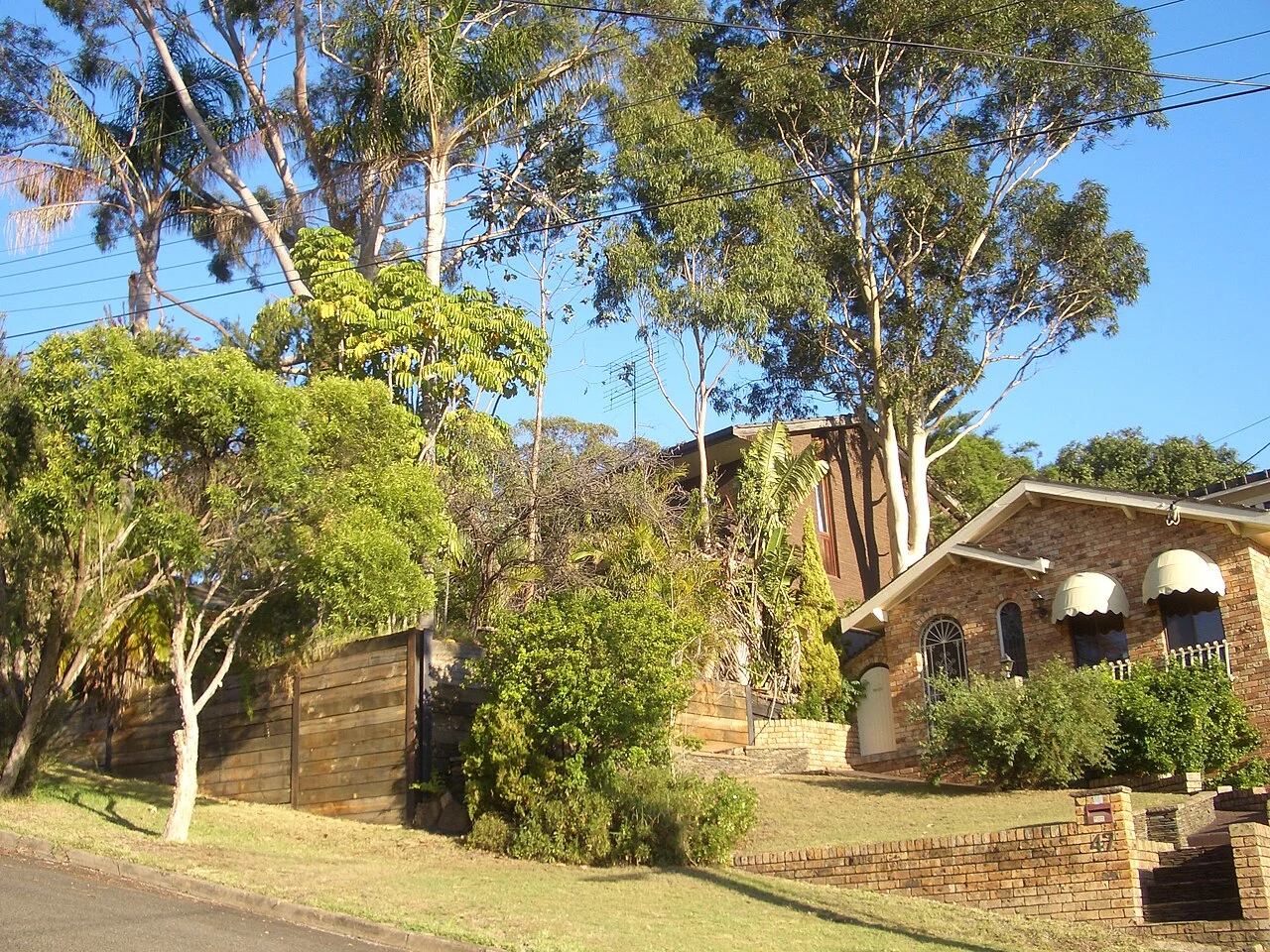 Photo of Padstow Heights