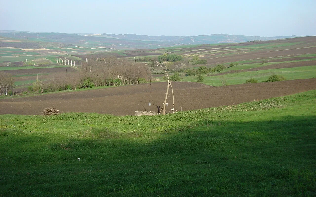 Photo of Pădureni