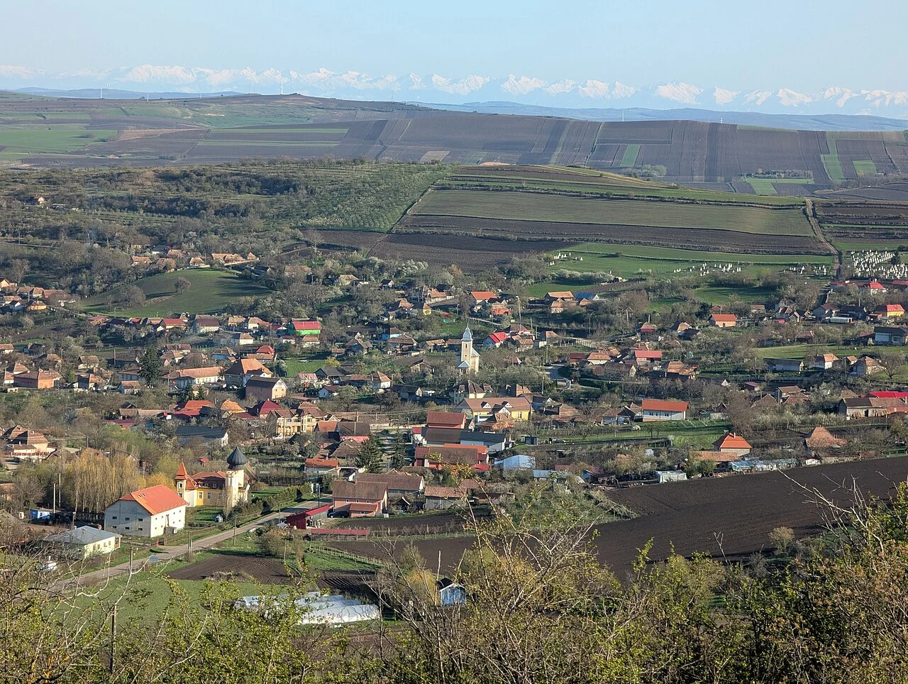 Photo of Pădureni