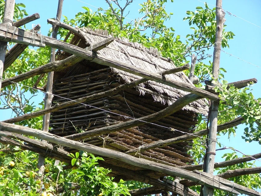 Photo of Pagliarelle