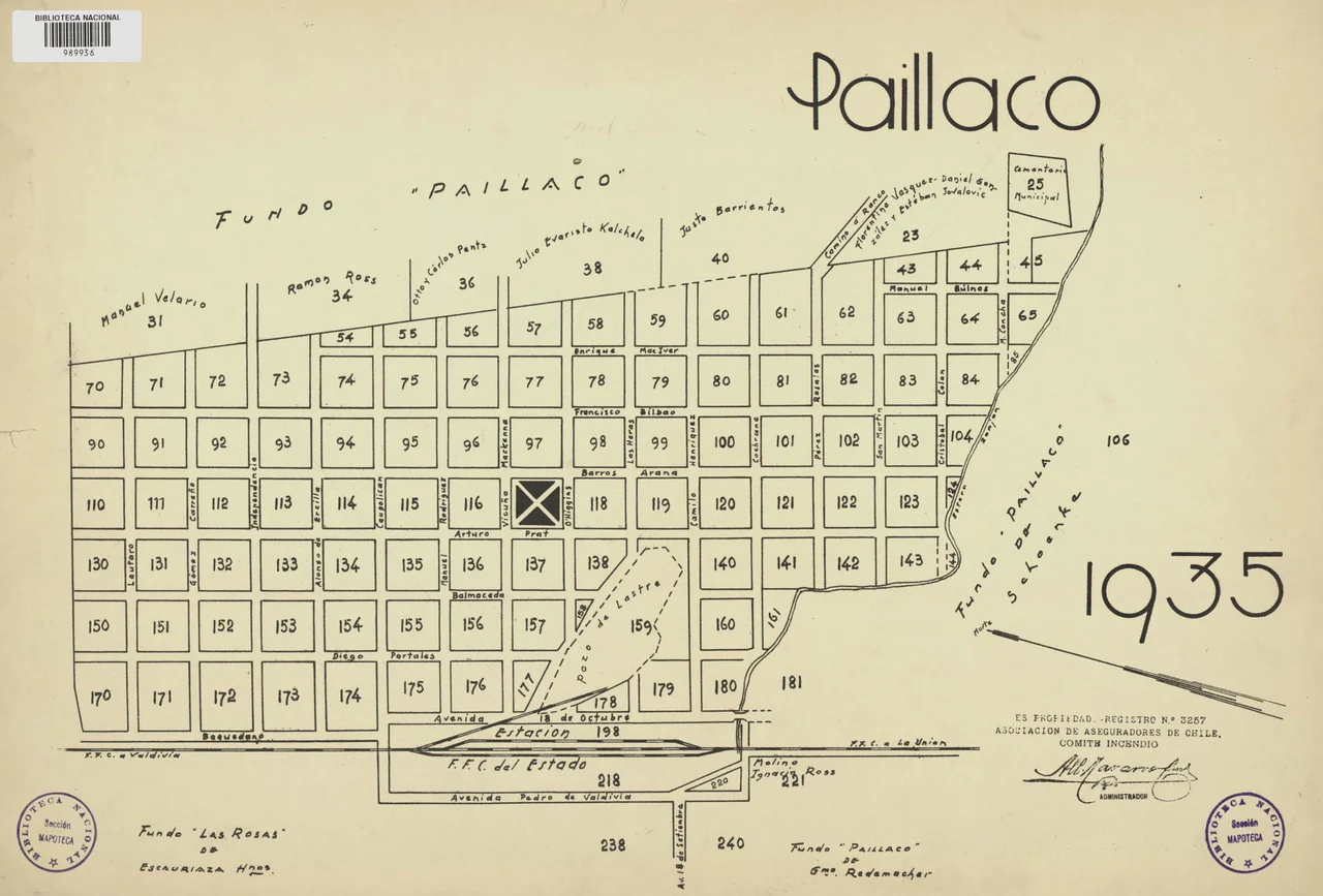 Photo of Paillaco
