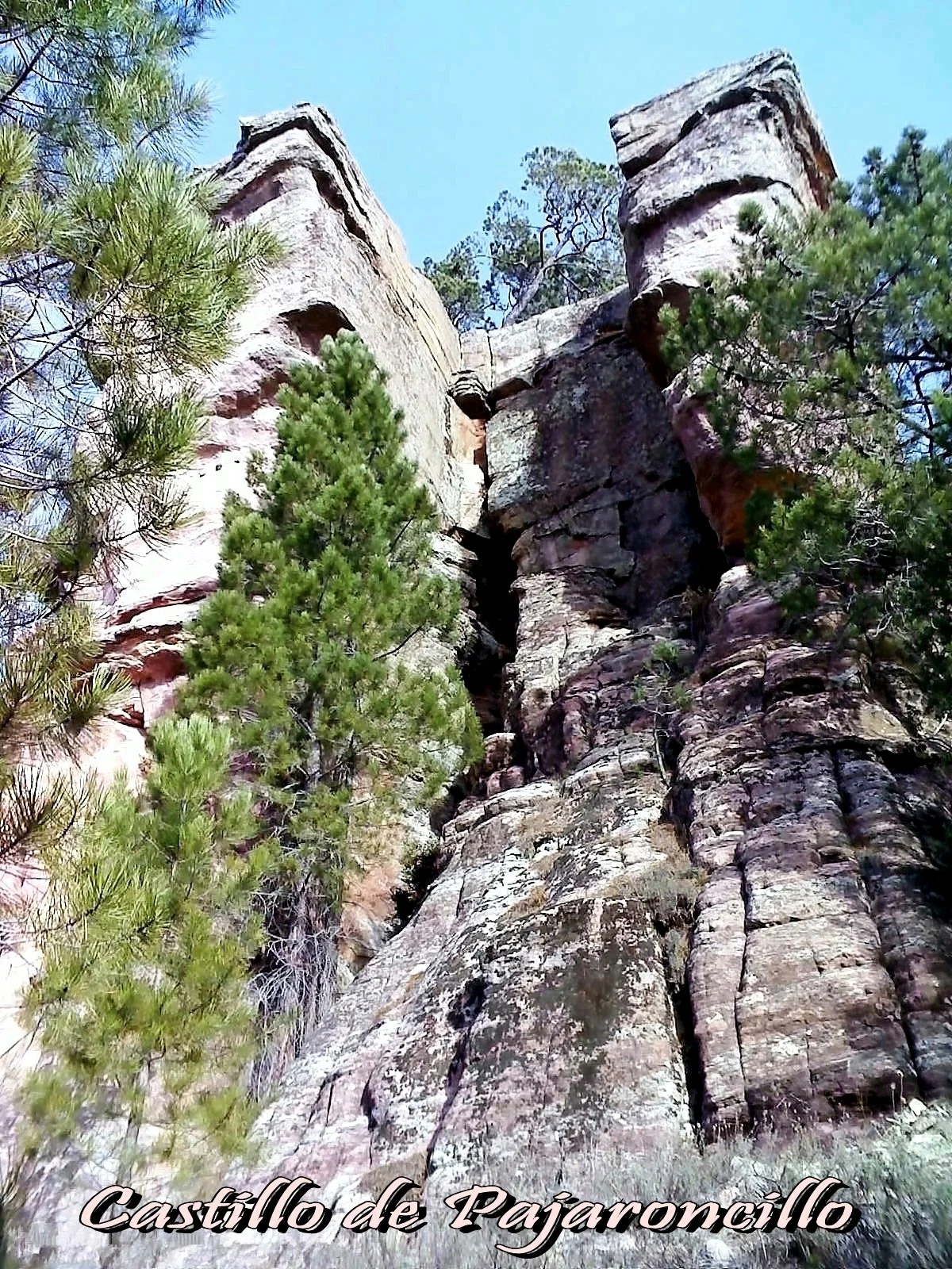 Photo of Pajaroncillo