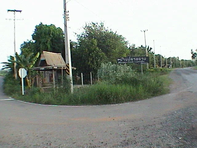 Photo of Pak Thong Chai