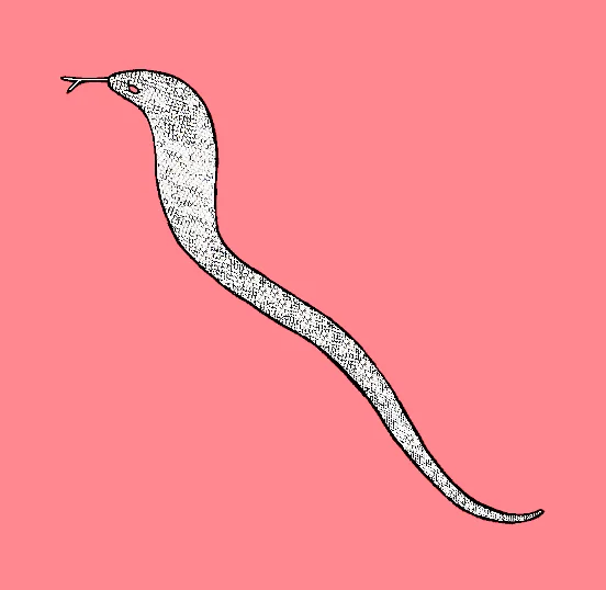 Photo of Pāl Laharā