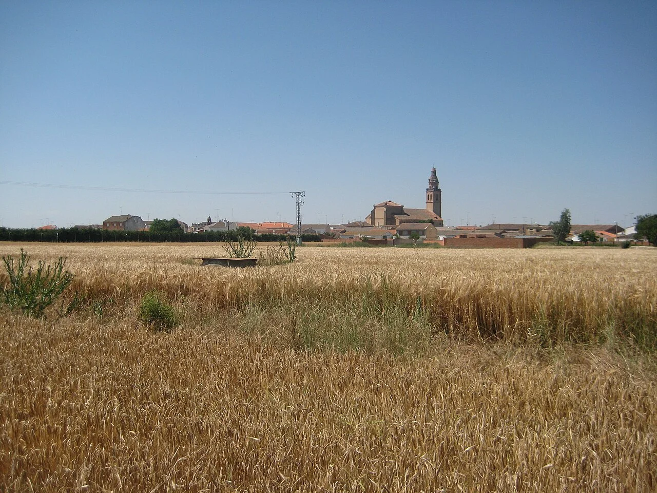 Photo of Palaciosrubios