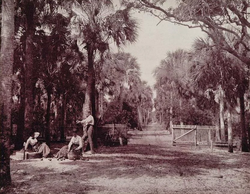 Photo of Palatka