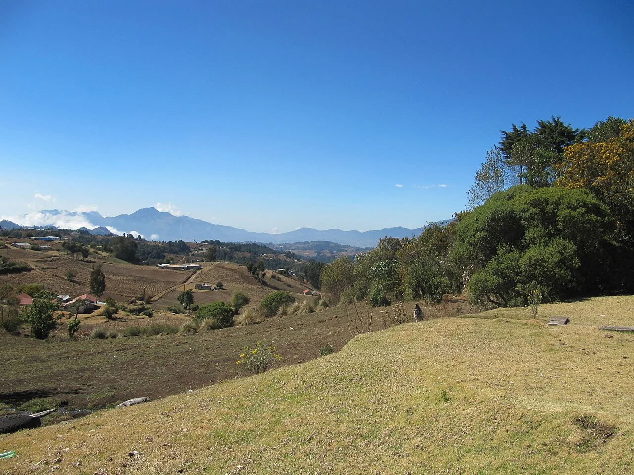 Photo of Palestina de los Altos