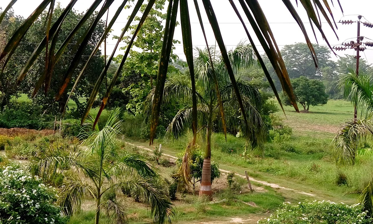 Photo of Paliā Kalān