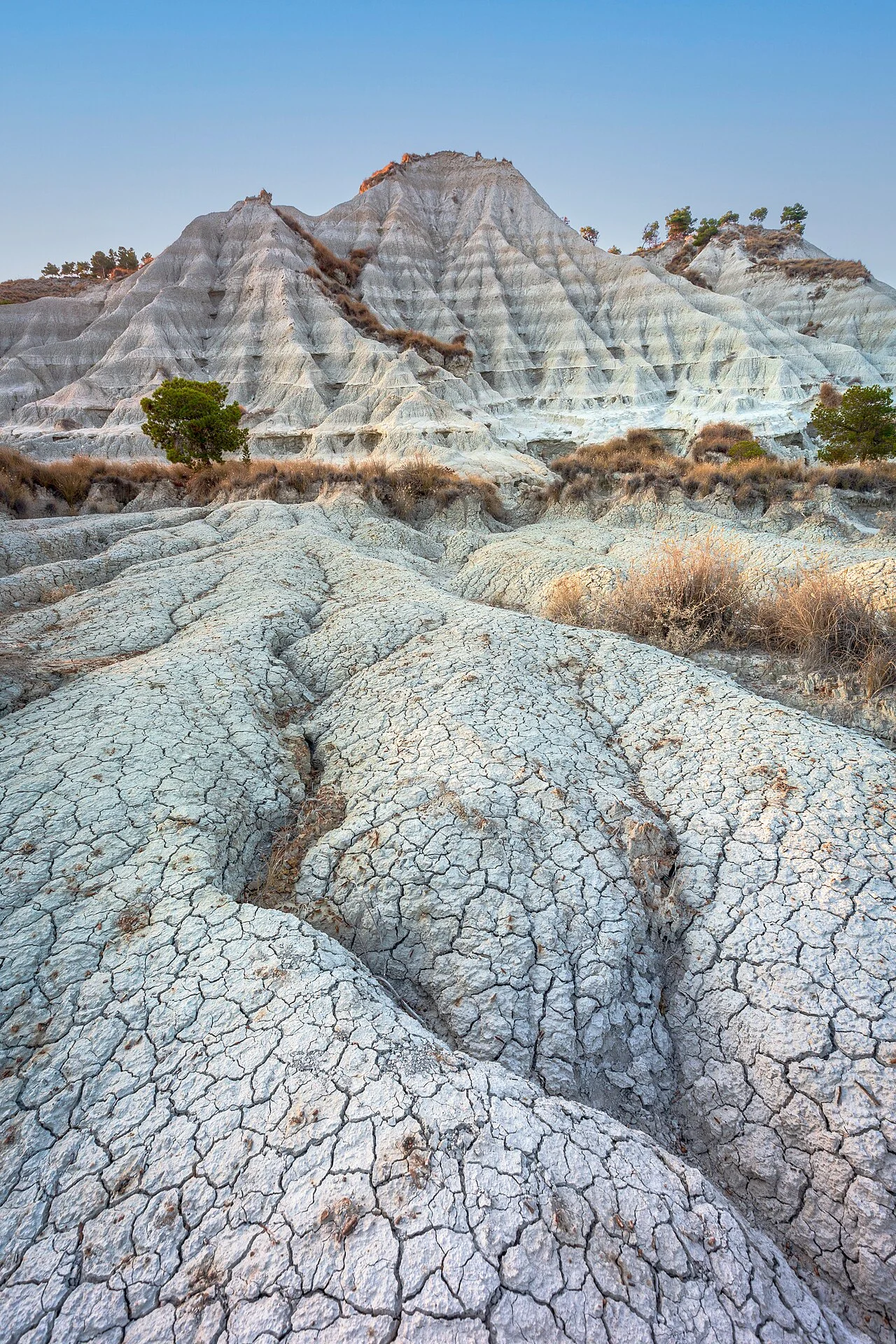 Photo of Palizzi Marina