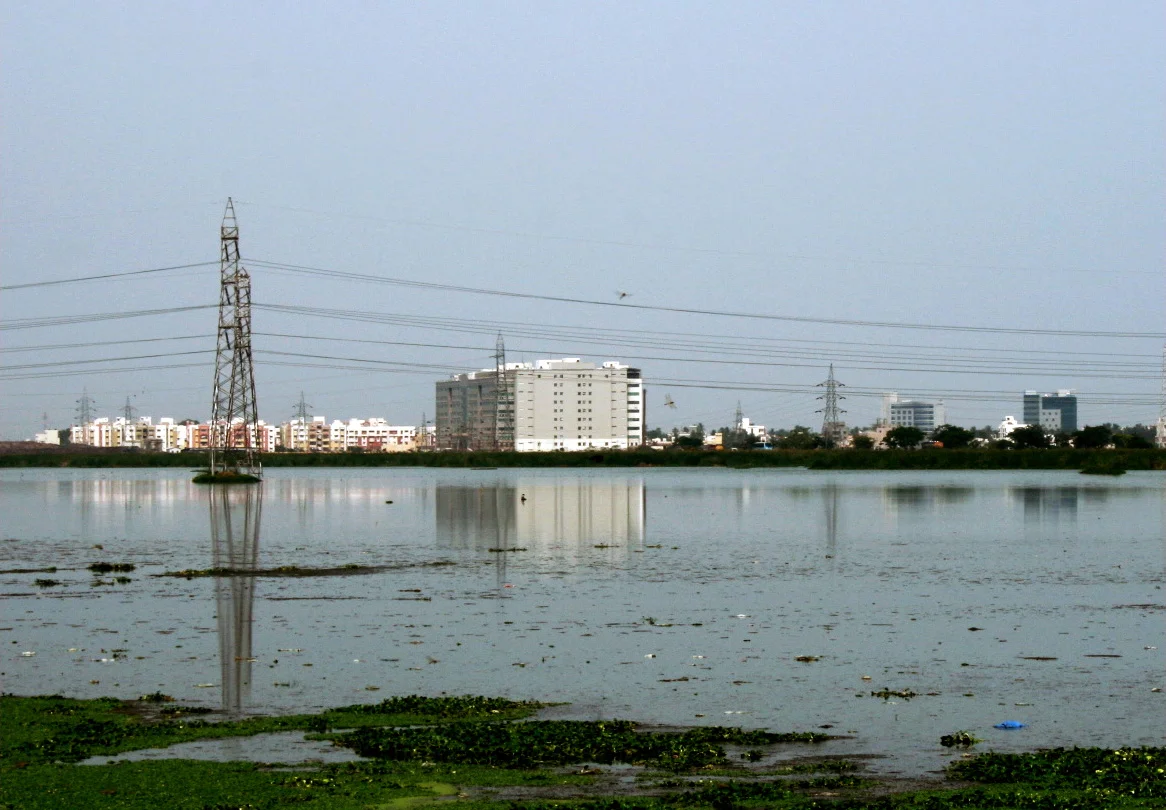Photo of Pallikaranai
