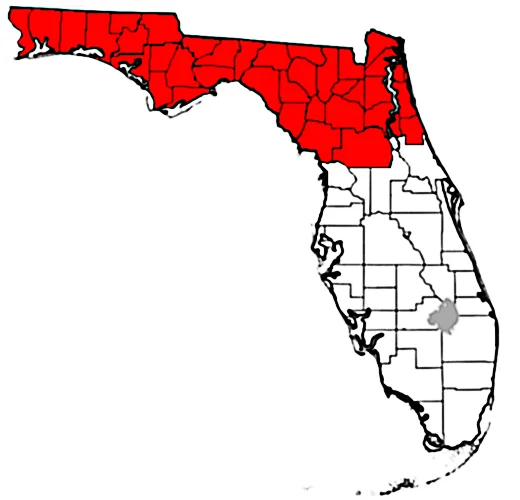Photo of Palm Coast