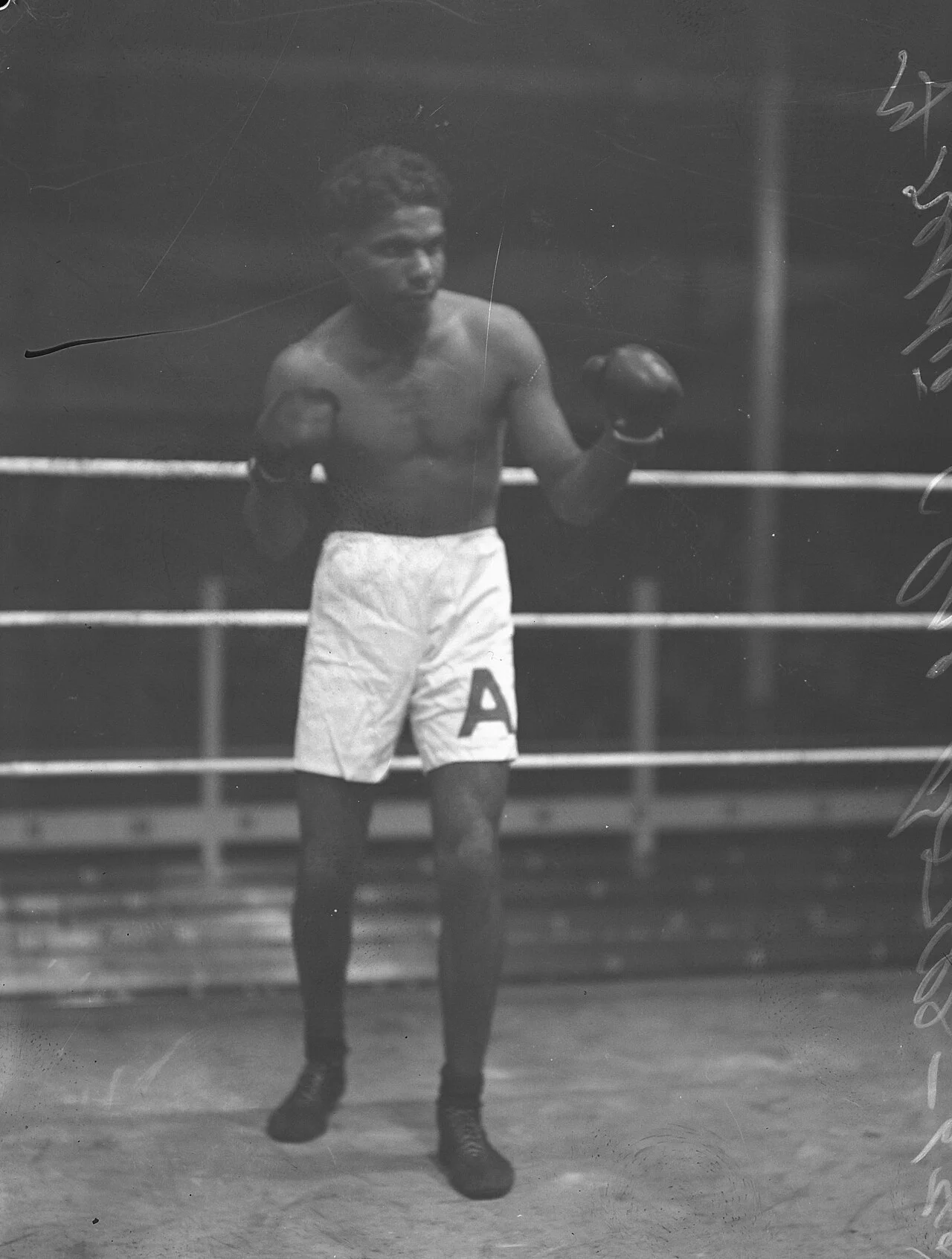 Photo of Palm Island