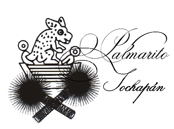 Photo of Palmarito Tochapan