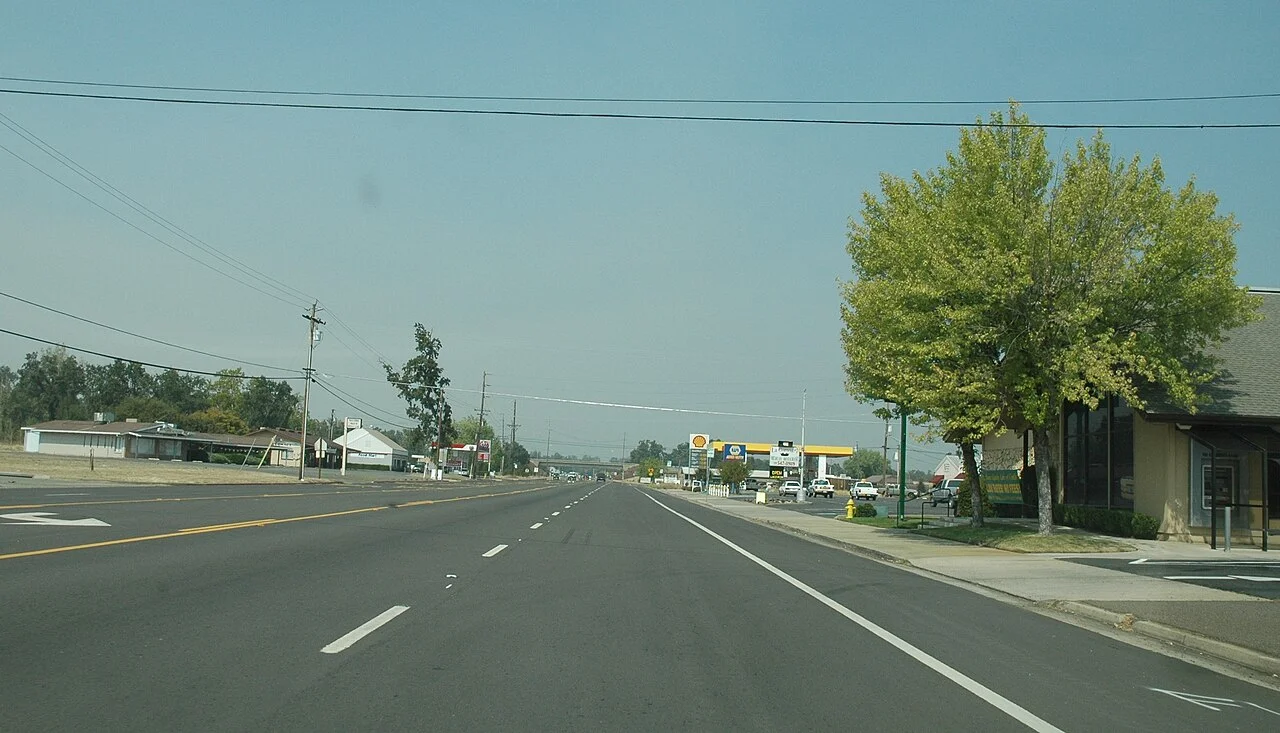Photo of Palo Cedro