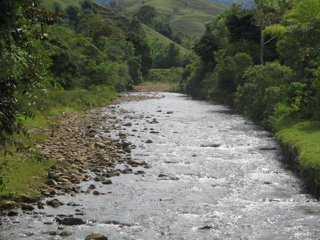 Photo of Palocabildo