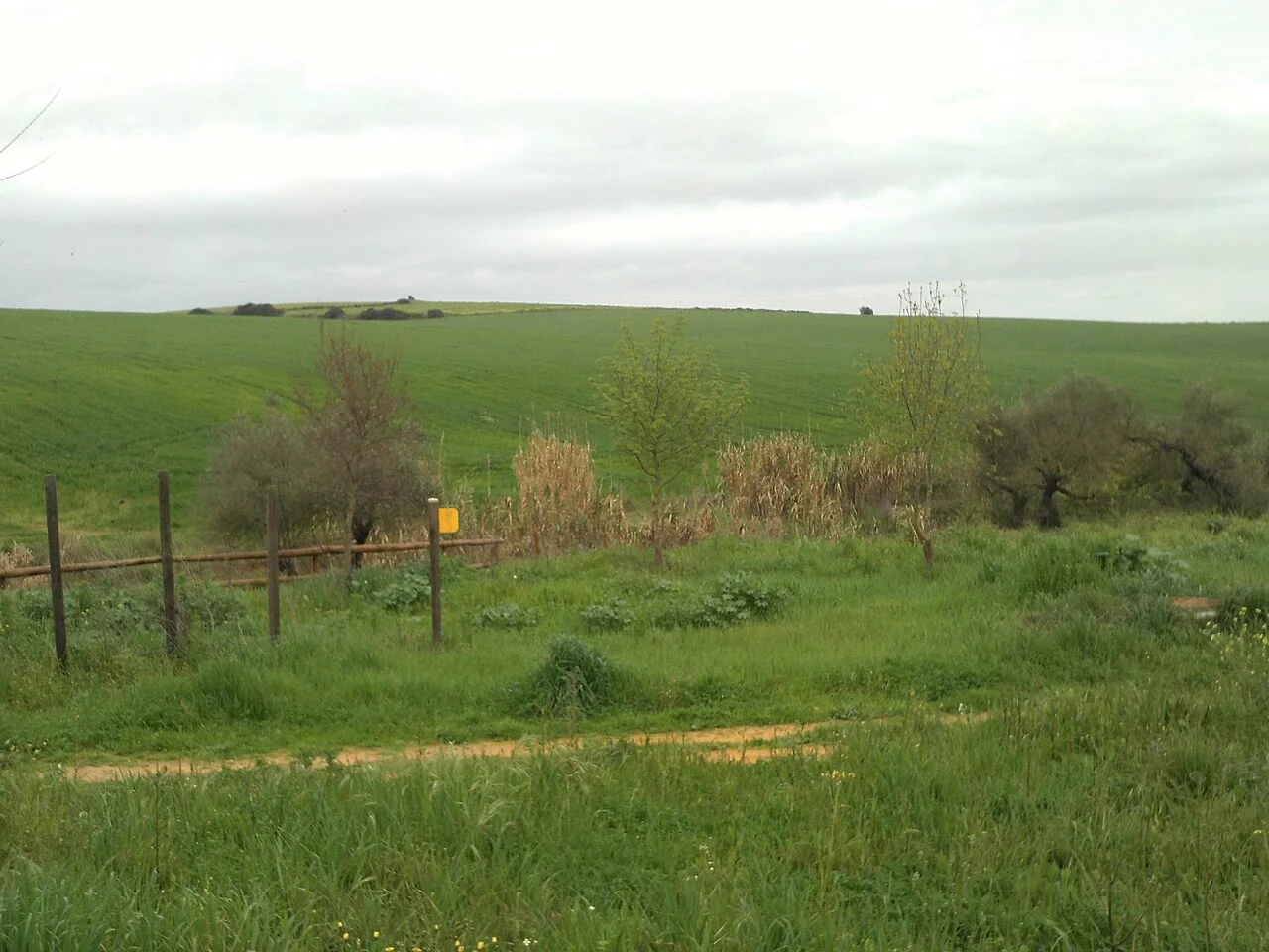 Photo of Palomares del Campo