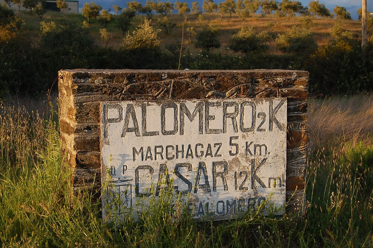 Photo of Palomero