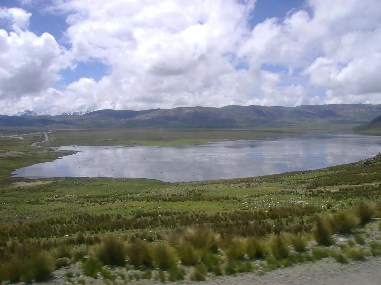 Photo of Pampas Chico