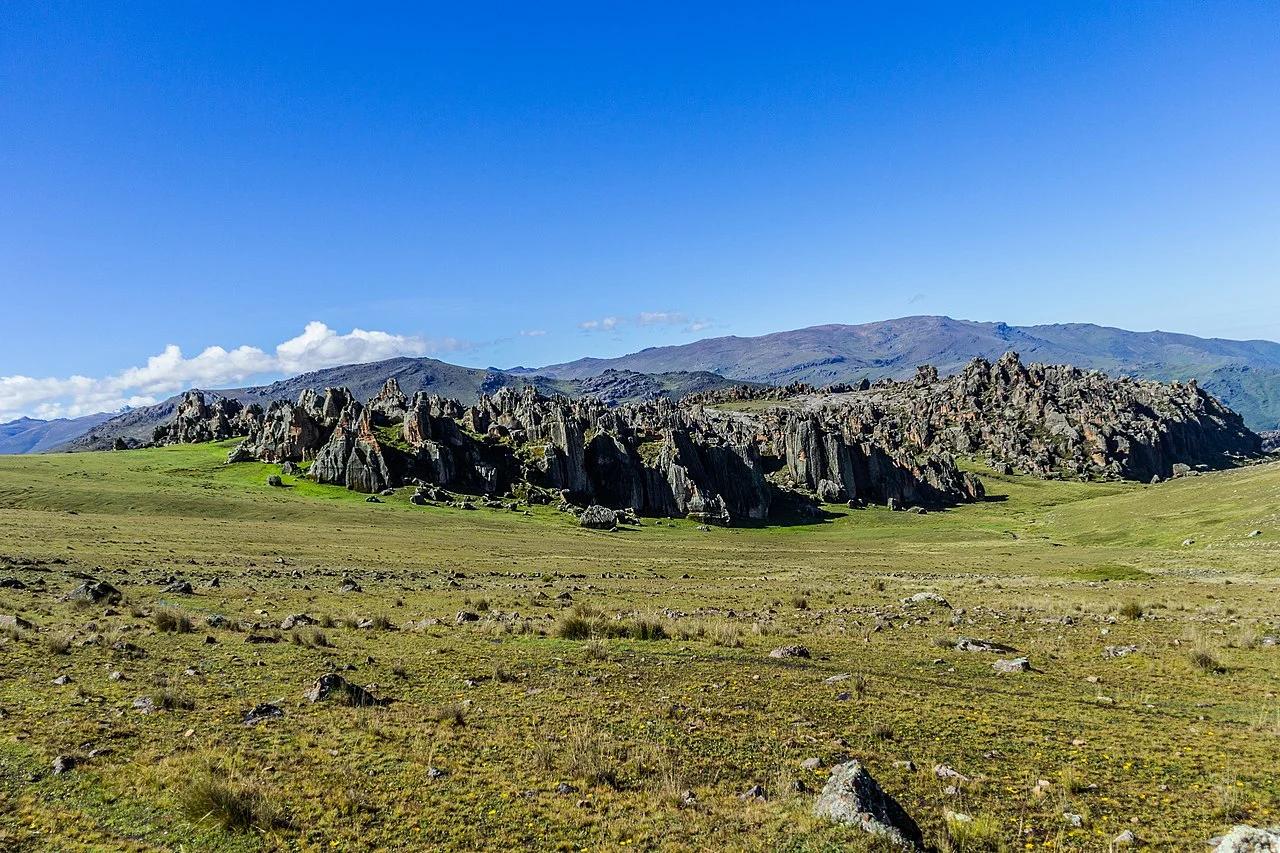 Photo of Pampas Chico