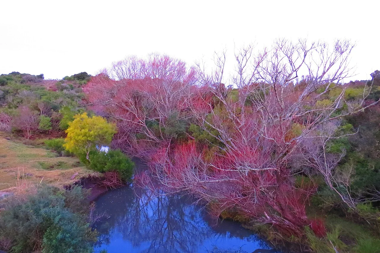 Photo of Pan de Azúcar