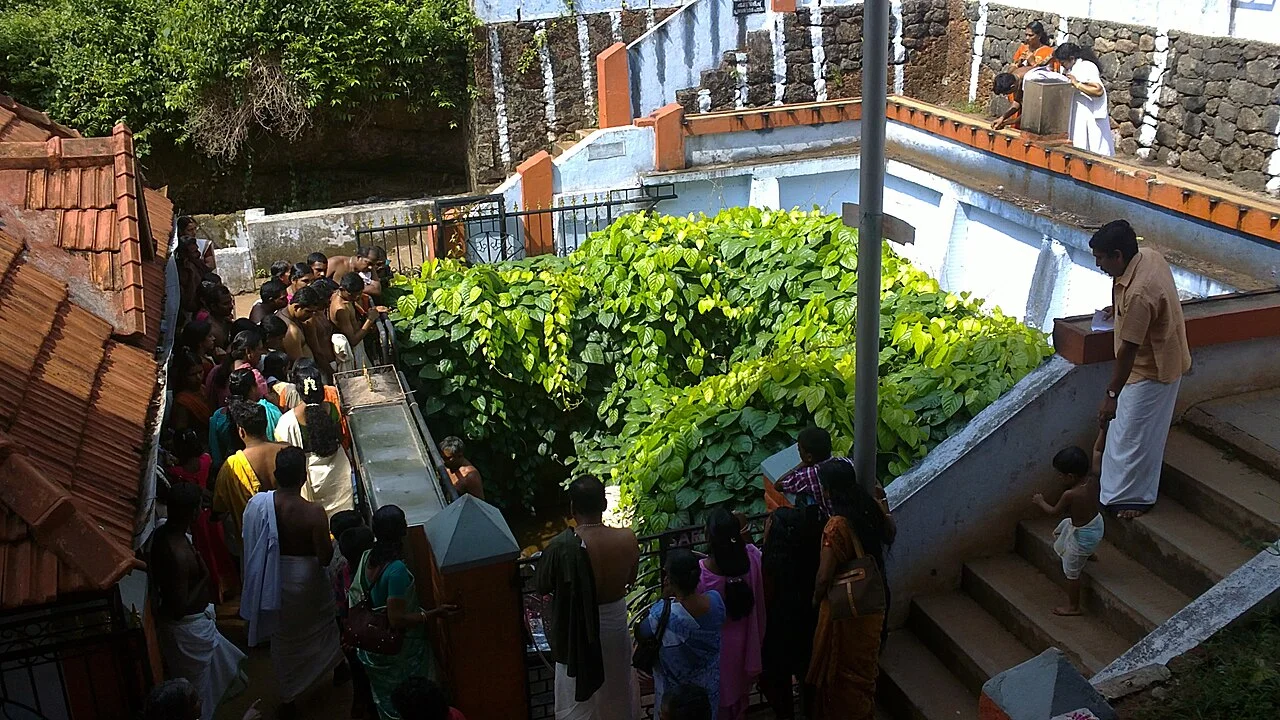 Photo of Panachikkad