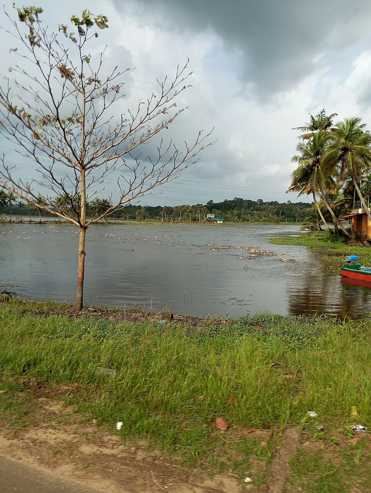 Photo of Panachikkad