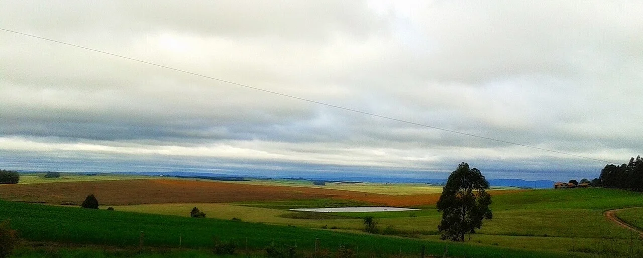 Photo of Pantano Grande