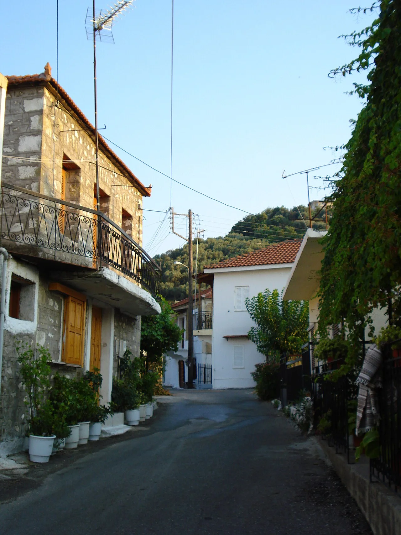 Photo of Pappadátes