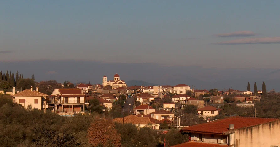 Photo of Pappadhátai