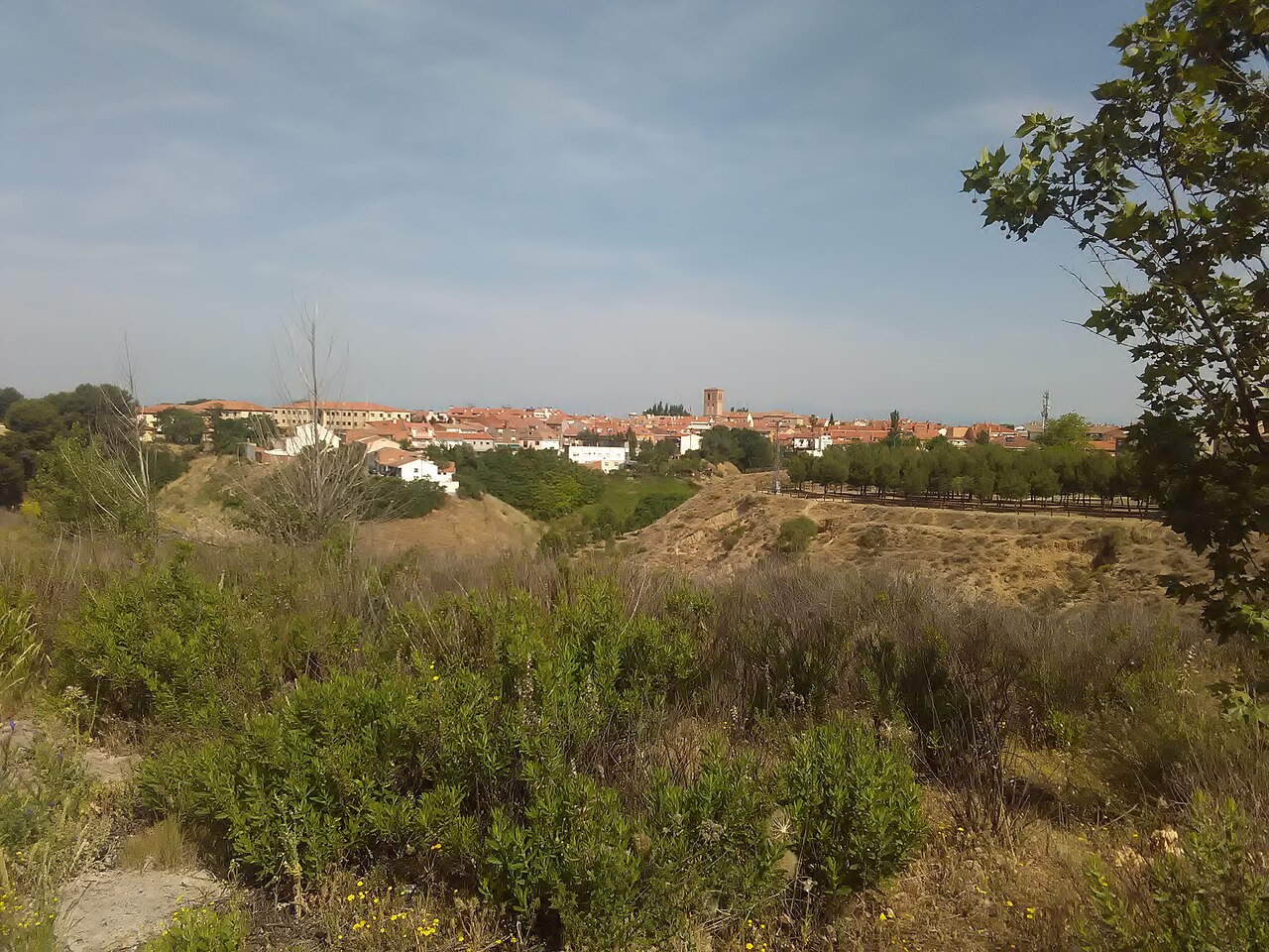 Paracuellos de Jarama from the south (27/5/2017).