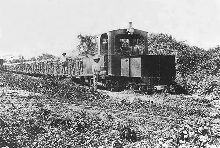 Photo of Paraiso Novillero