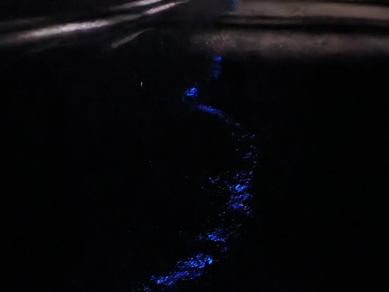 Photo of Paraparaumu