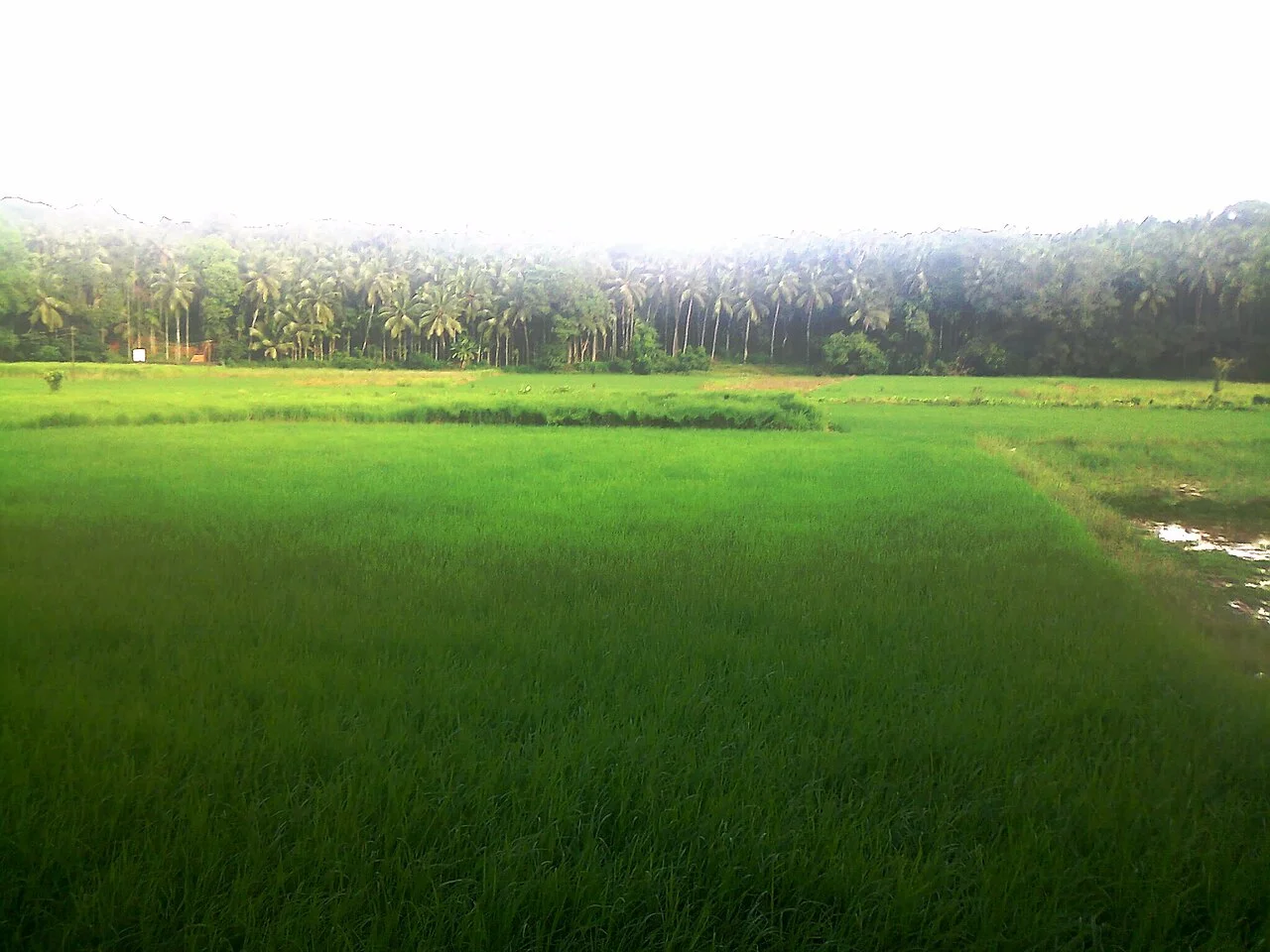 Photo of Parappur