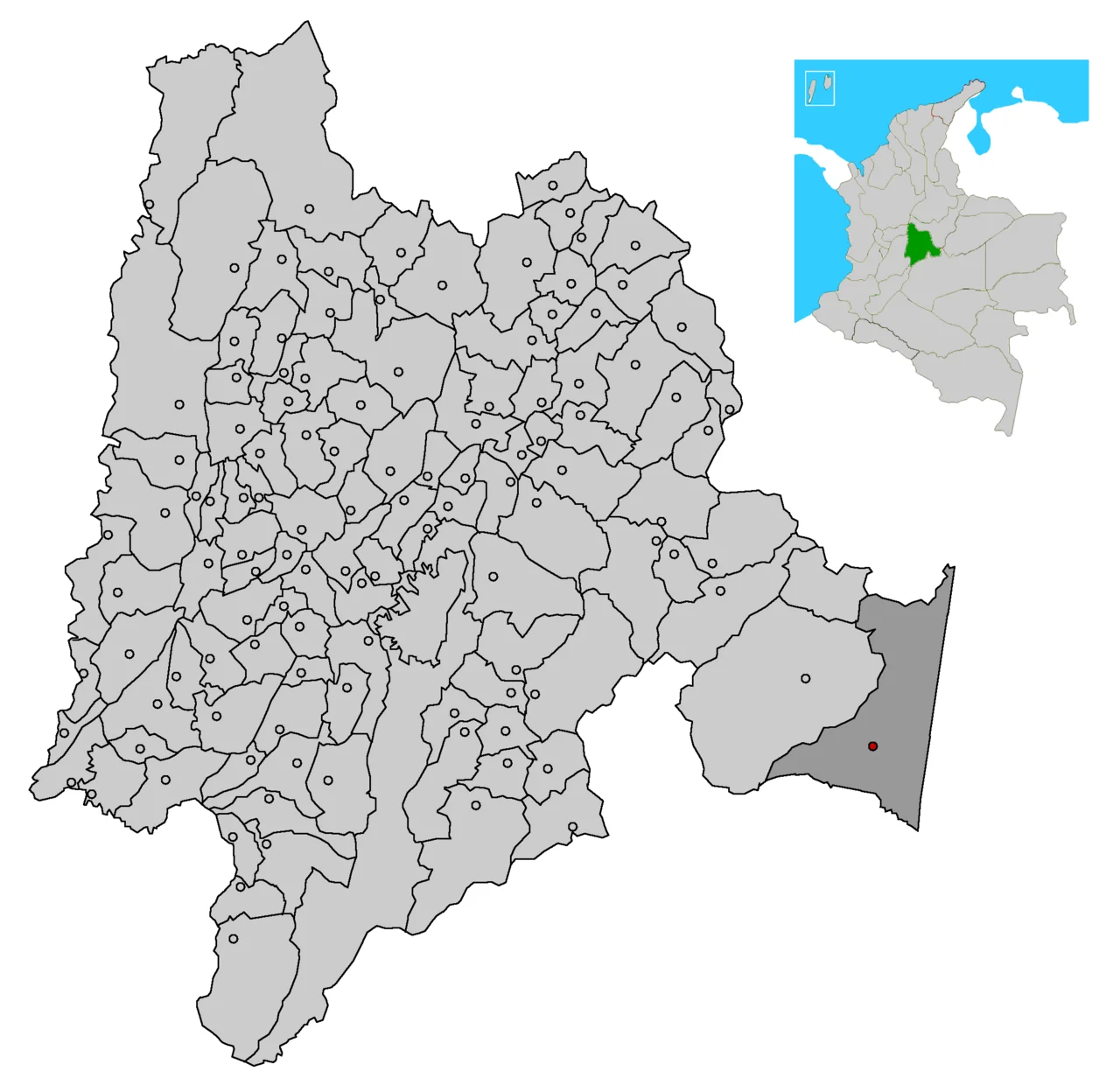 Photo of Paratebueno