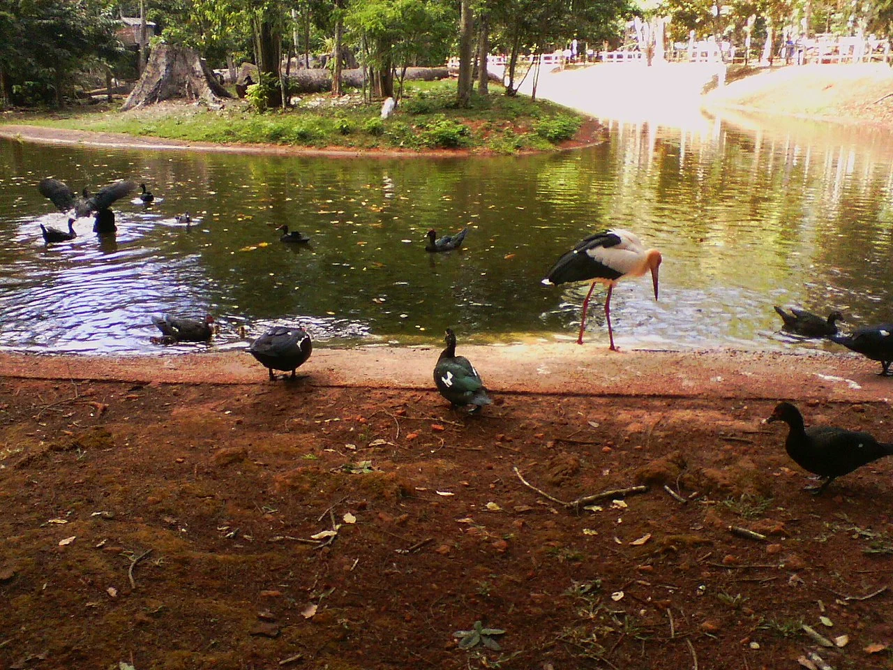 Photo of Parauapebas