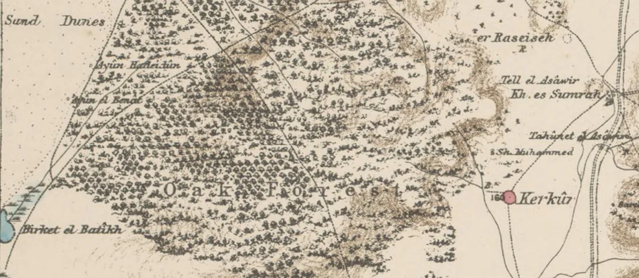 Photo of Pardés H̱anna Karkur