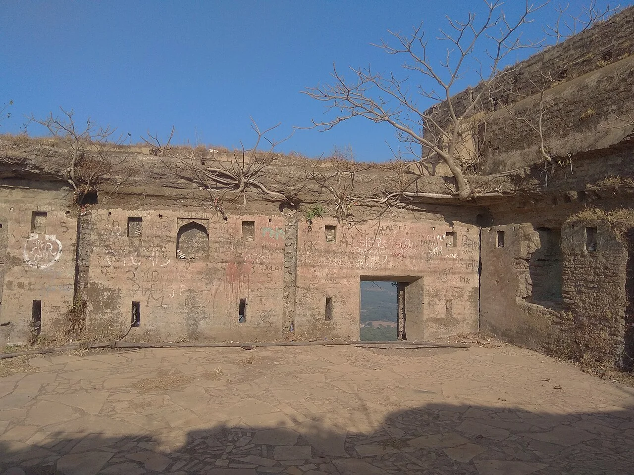 Photo of Pardi Parnera