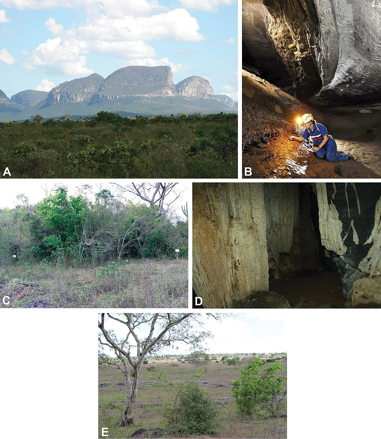 Photo of Paripiranga