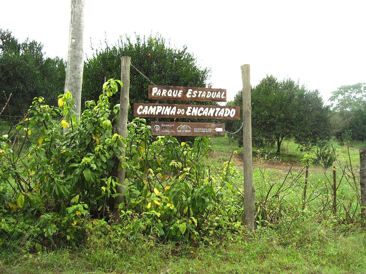 Photo of Pariquera-Açu