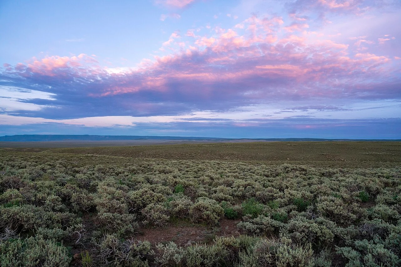 Photo of Parkers Prairie