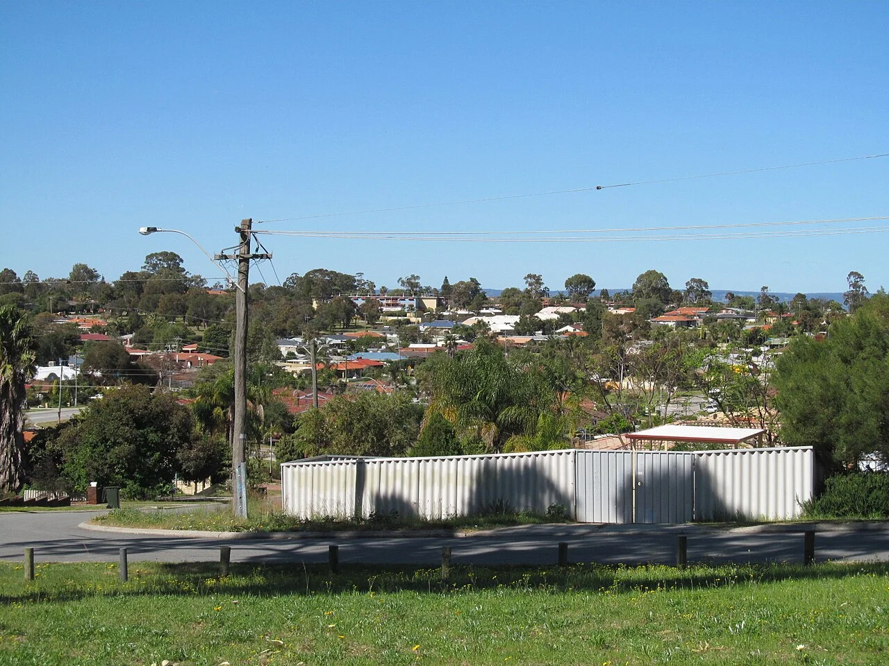 Photo of Parmelia