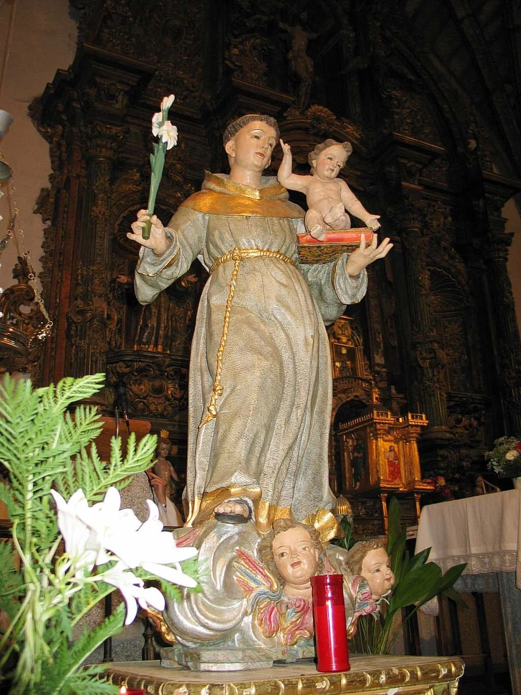 Photo of Pascualcobo