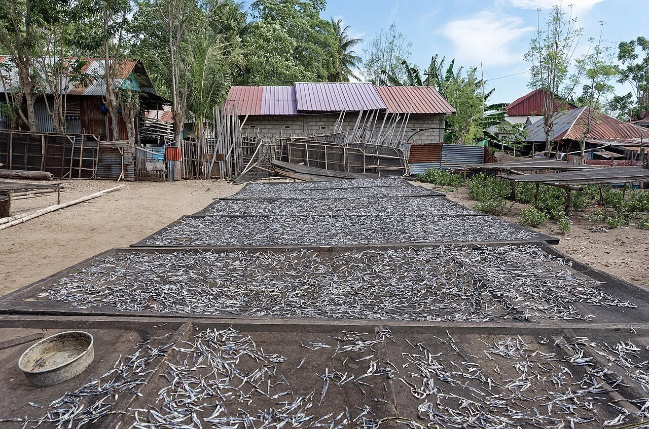 Photo of Pasir Panjang