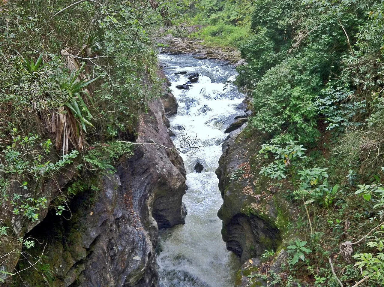 Photo of Passa Vinte