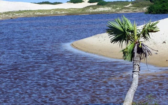 Photo of Paulino Neves