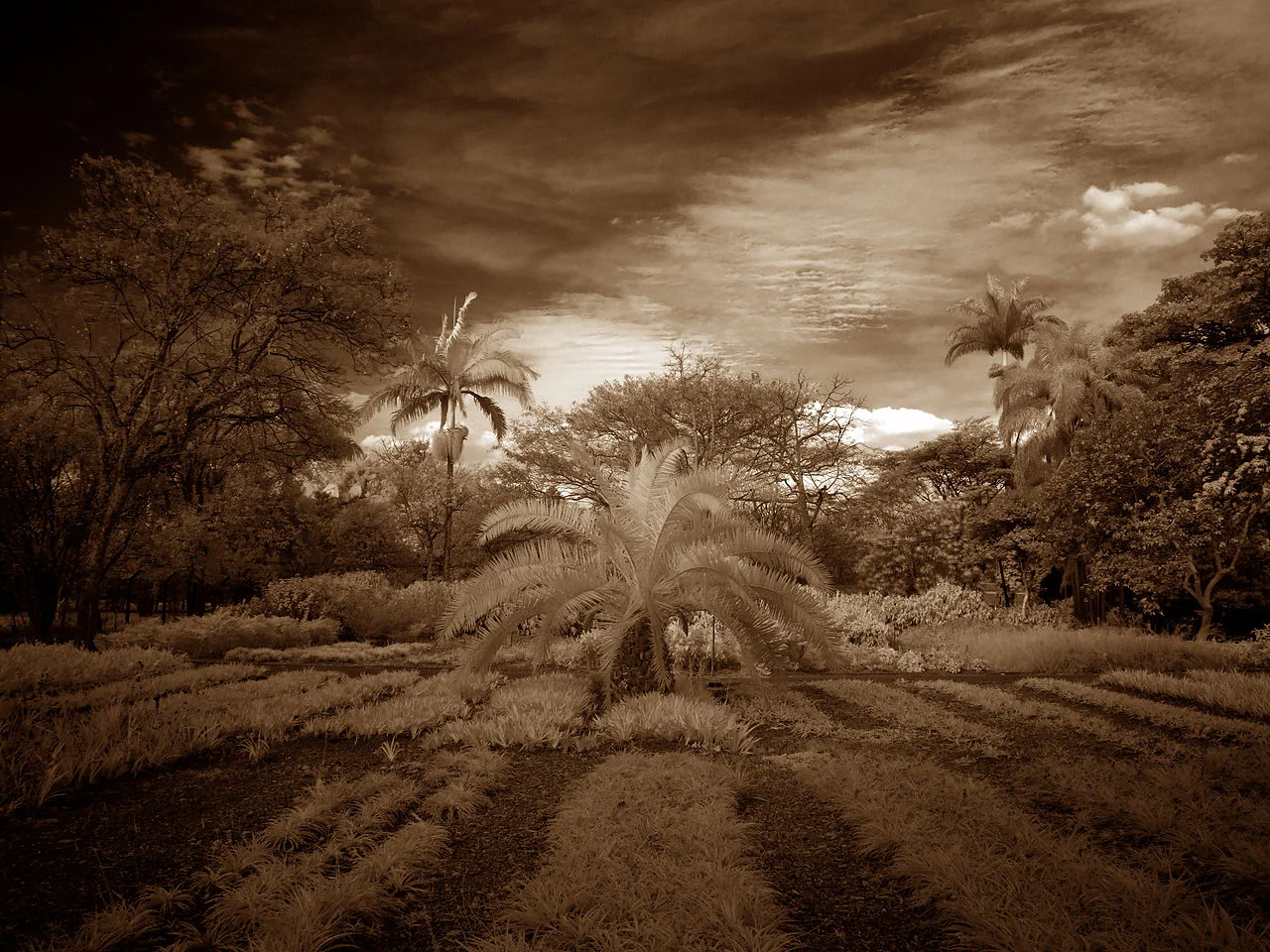 Photo of Paulo Lopes