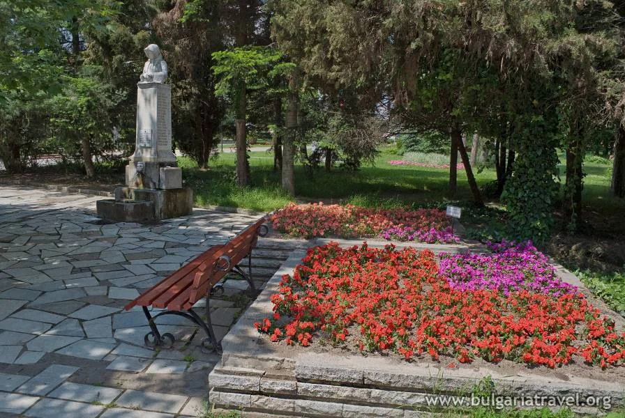 Photo of Pavel Banya